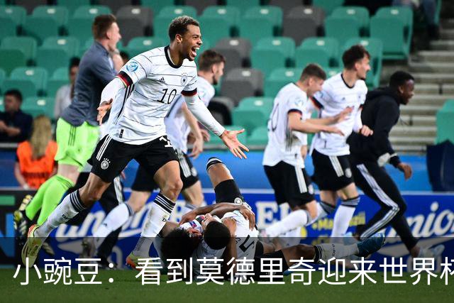 小豌豆：看到莫德里奇迎来世界杯谢幕令人唏嘘，他是克罗地亚图腾