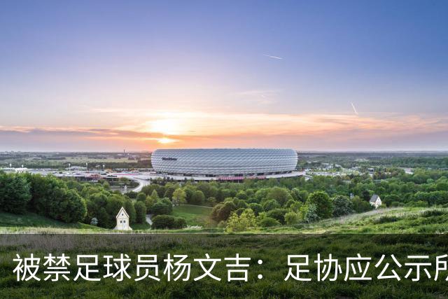 被禁足球员杨文吉：足协应公示所有队提交材料的进度