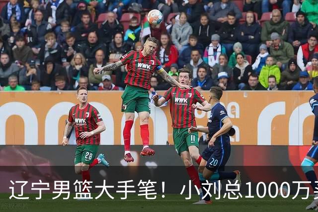 辽宁男篮大手笔！小刘总1000万买断段睿骐，4年B类合同，赵继伟接班人！