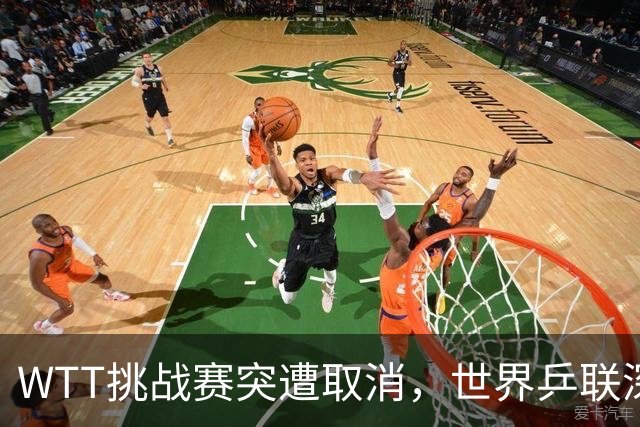 WTT挑战赛突遭取消，世界乒联深表歉意，索林亦感无奈发声